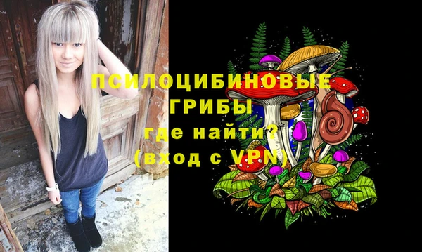 хмурый Абдулино