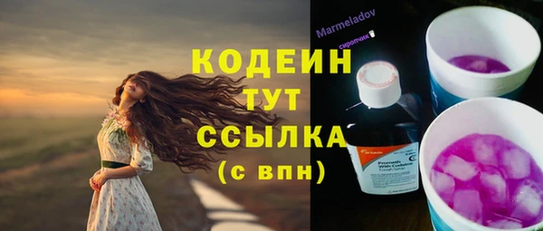индика Абинск