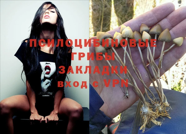 индика Абинск
