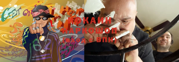 гашик Алексеевка