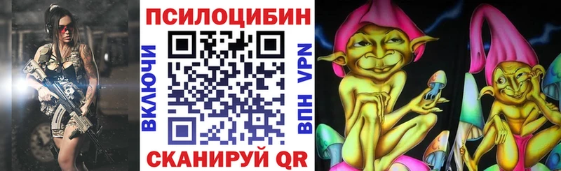 дарк нет формула  Кашира  Галлюциногенные грибы Psilocybine cubensis 